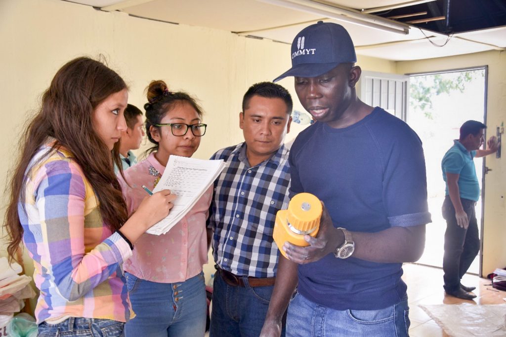 Odjo demonstrates the use of a handheld grain moisture tester in Comitán de Dominguez, Chiapas, Mexico. (Photo: Juan Carlos Reynoso)