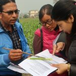 Training participants examine a fall armyworm on a maize leaf. (Photo: Bandana Pradhan/CIMMYT)