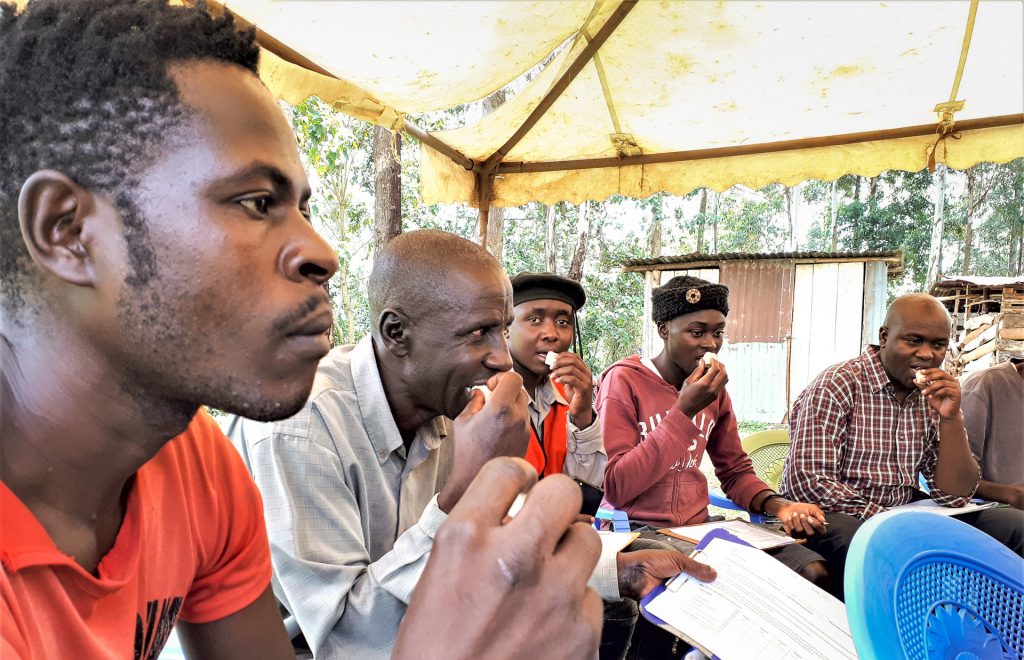 Ugali made with different maize varieties is served to participants of a sensory evaluation in Kakamega County, Kenya. (Photo: Joshua Masinde/CIMMYT)