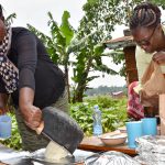 Ugali made with different maize varieties is served to participants of a sensory evaluation in Kakamega County, Kenya. (Photo: Joshua Masinde/CIMMYT)