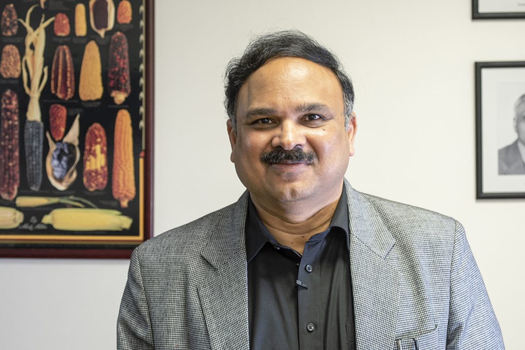 B.M. Prasanna, Director of the Global Maize Program at CIMMYT and the CGIAR Research Program on Maize (MAIZE). (Photo: Alfonso Cortés/CIMMYT)