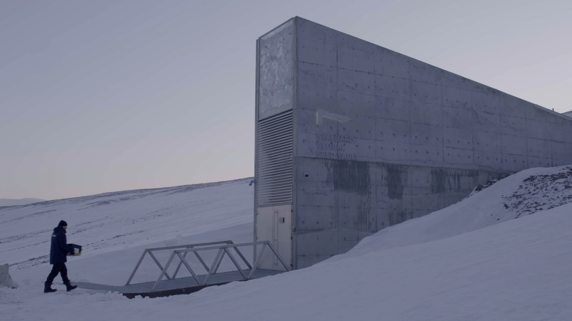 A NordGen staff member brings a box of seed into the Global Seed Vault in Svalbard, Norway. (Photo: Thomas Sonne/Common Ground Media for NordGen)