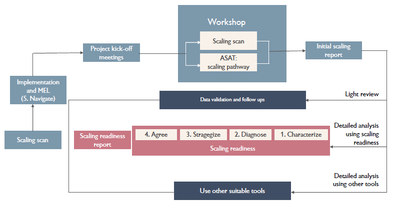 An overview of the proposed ILRI scaling process. (Graphic: ILRI)