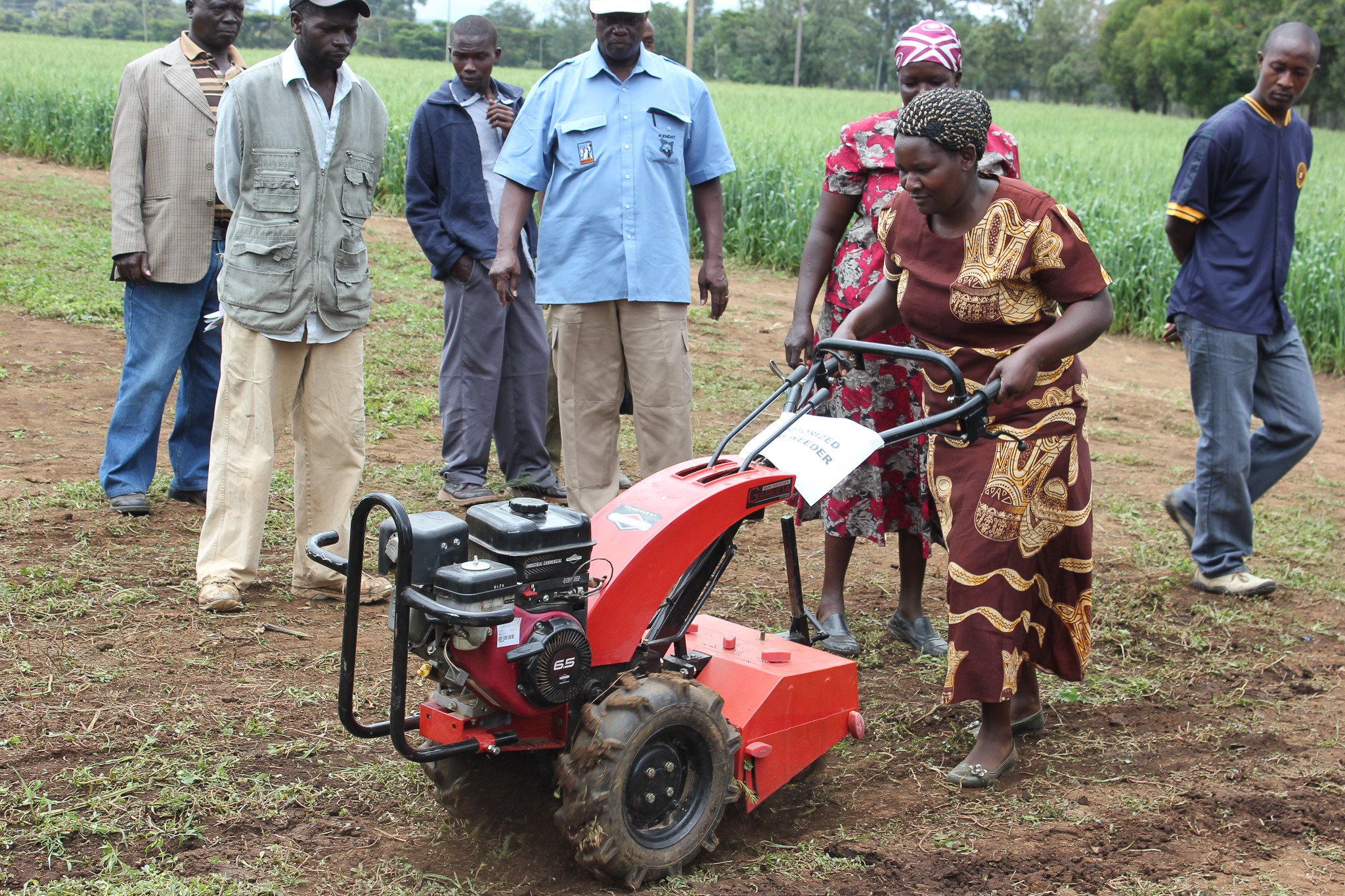 Demonstration of a minitiller, Naivasha, Kenya. (Photo: CIMMYT)