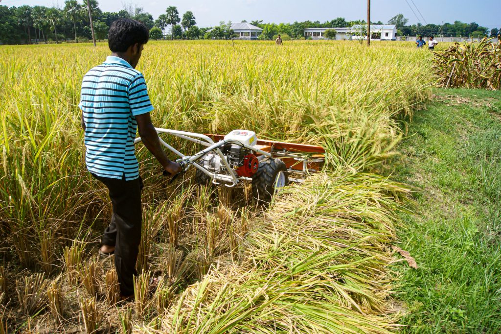 An operator demonstrates the use of a reaper in Bangladesh. (Photo: CIMMYT)