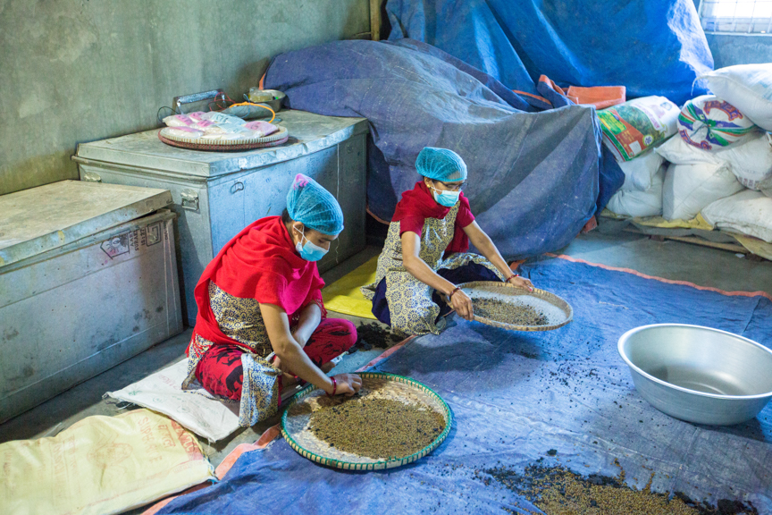Employees select and clean mung beans at Poshan Foods in Butwal, Nepal. (Photo: Merit Maharajan/Amuse Communication)