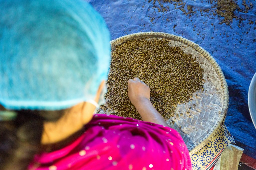 An employee selects mung beans at Poshan Foods, in Butwal, Nepal. (Photo: Merit Maharajan/Amuse Communication)