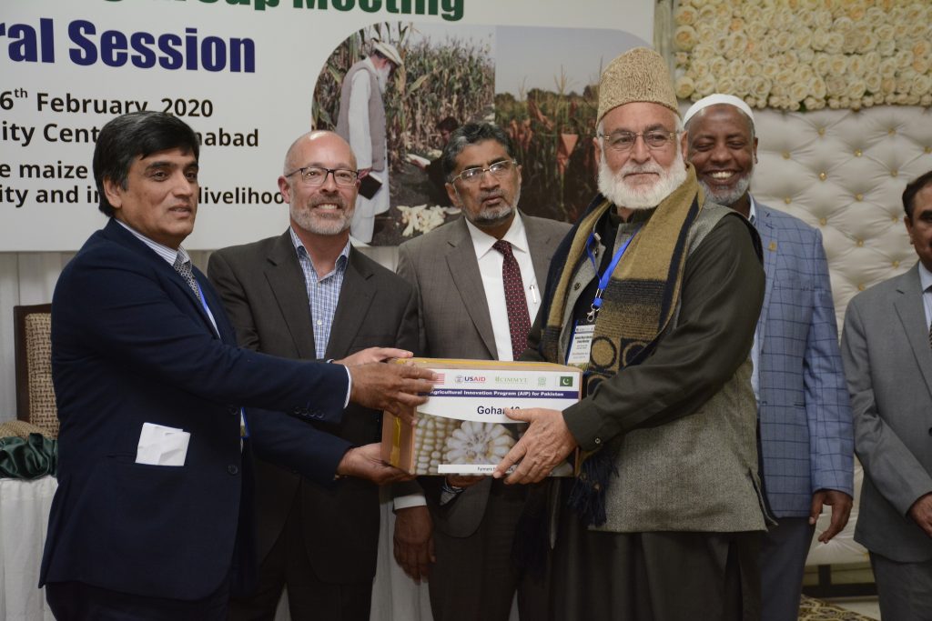 Syed Khadam Jan, maize farmer from Bajaur District, Pakistan, holds a box of seed of a new climate-resilient maize variety from CIMMYT and the Pakistan Maize and Millet Research Institute. (Photo: Khashif Syed/CIMMYT)