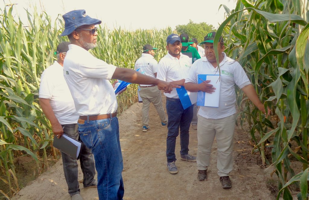 “The testing of diversified maize products and release of new varieties represent encouraging progress,” said AbduRahman Beshir (foreground), CIMMYT maize seed system specialist, speaking during a traveling seminar, “but only advances in quality seed production and a competitive seed business at scale, with a strong case for investment by the private sector, will allow farmers to benefit.” (Photo: Waheed Anwar/CIMMYT)