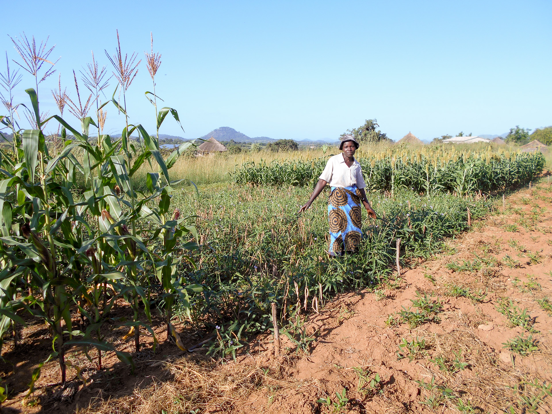 Kiyasi Gwalale stands on her baby trial plot.