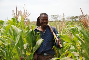 Drought Tolerant Maize for Africa (DTMA) project monitoring and evaluation takes place in Tanzania. (Photo: Florence Sipalla/CIMMYT)