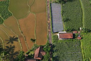 Aerial view of the landscape around Halimun Salak National Park, West Java, Indonesia. (Photo: Kate Evans/CIFOR)