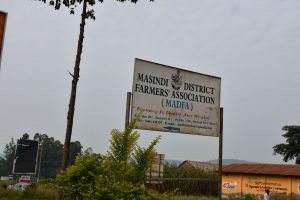 A sign leading to the Masindi District Farmers Association (MADFA) offices in Masindi town. (Photo: Joshua Masinde/CIMMYT)