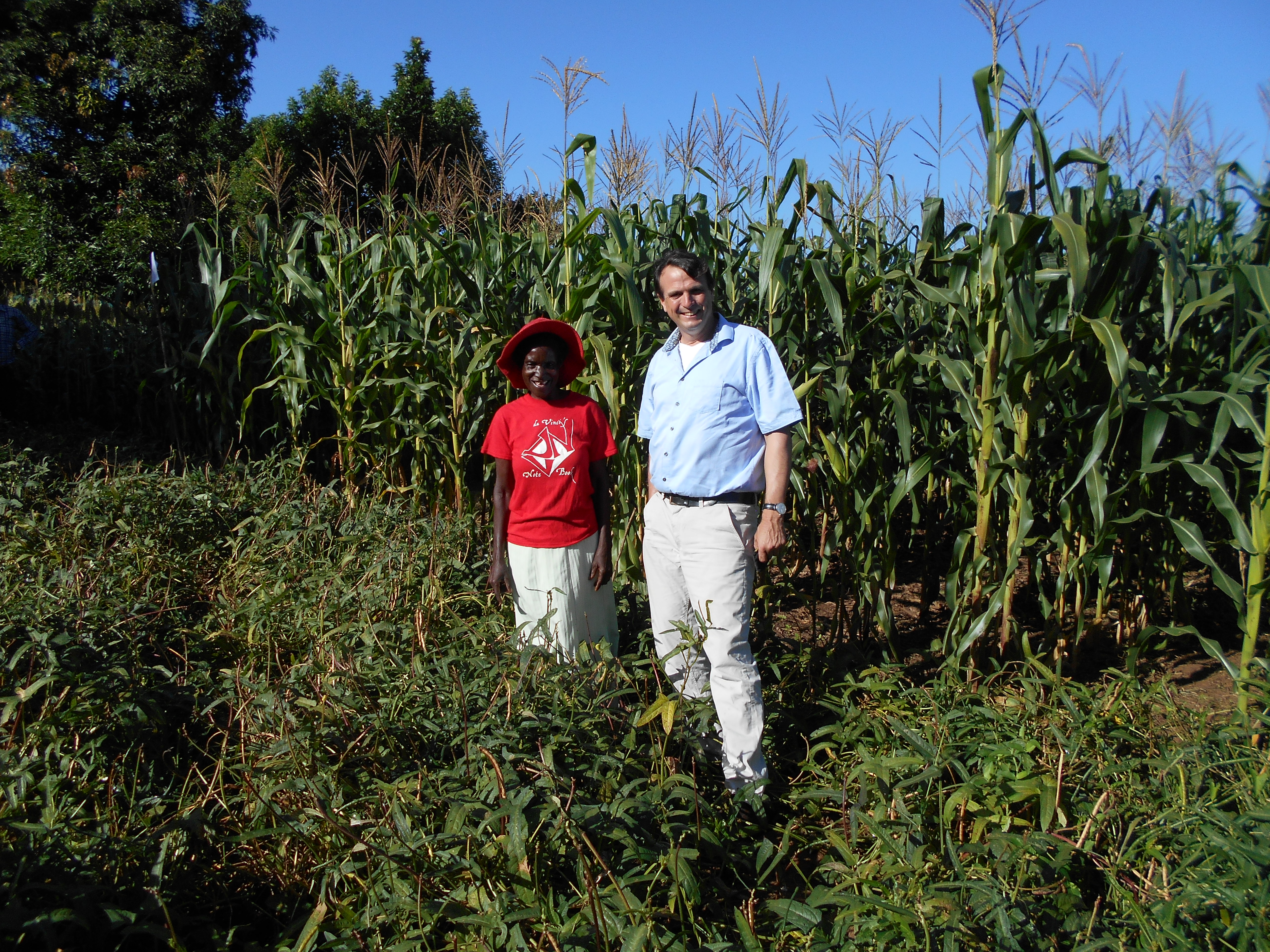 CIMMYT scientist Christian Thierfielder pleased with the results in another baby trial plot in Chebvute. Photo: C. Thierfelder/CIMMYT