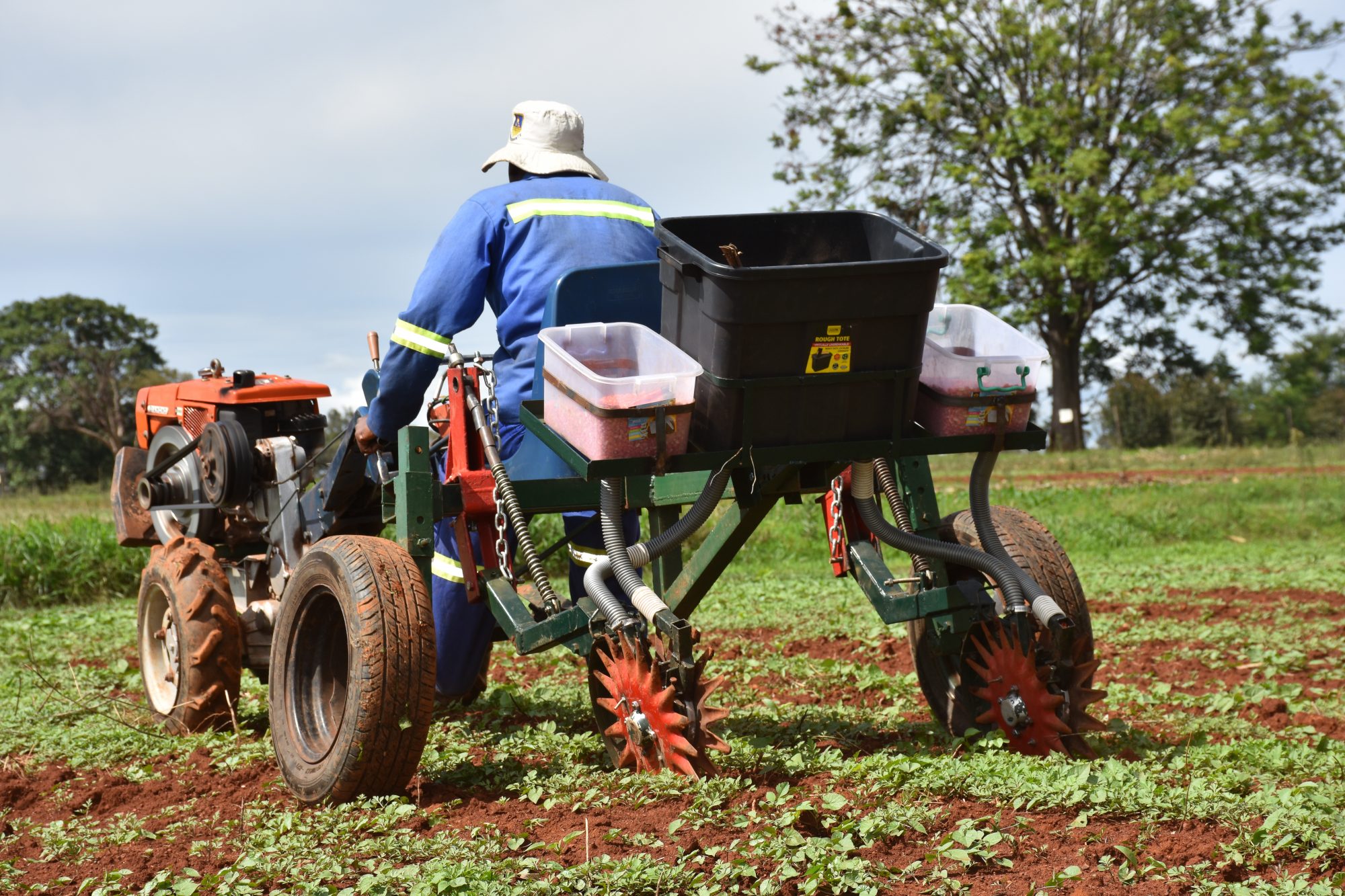 Background image for CIMMYT