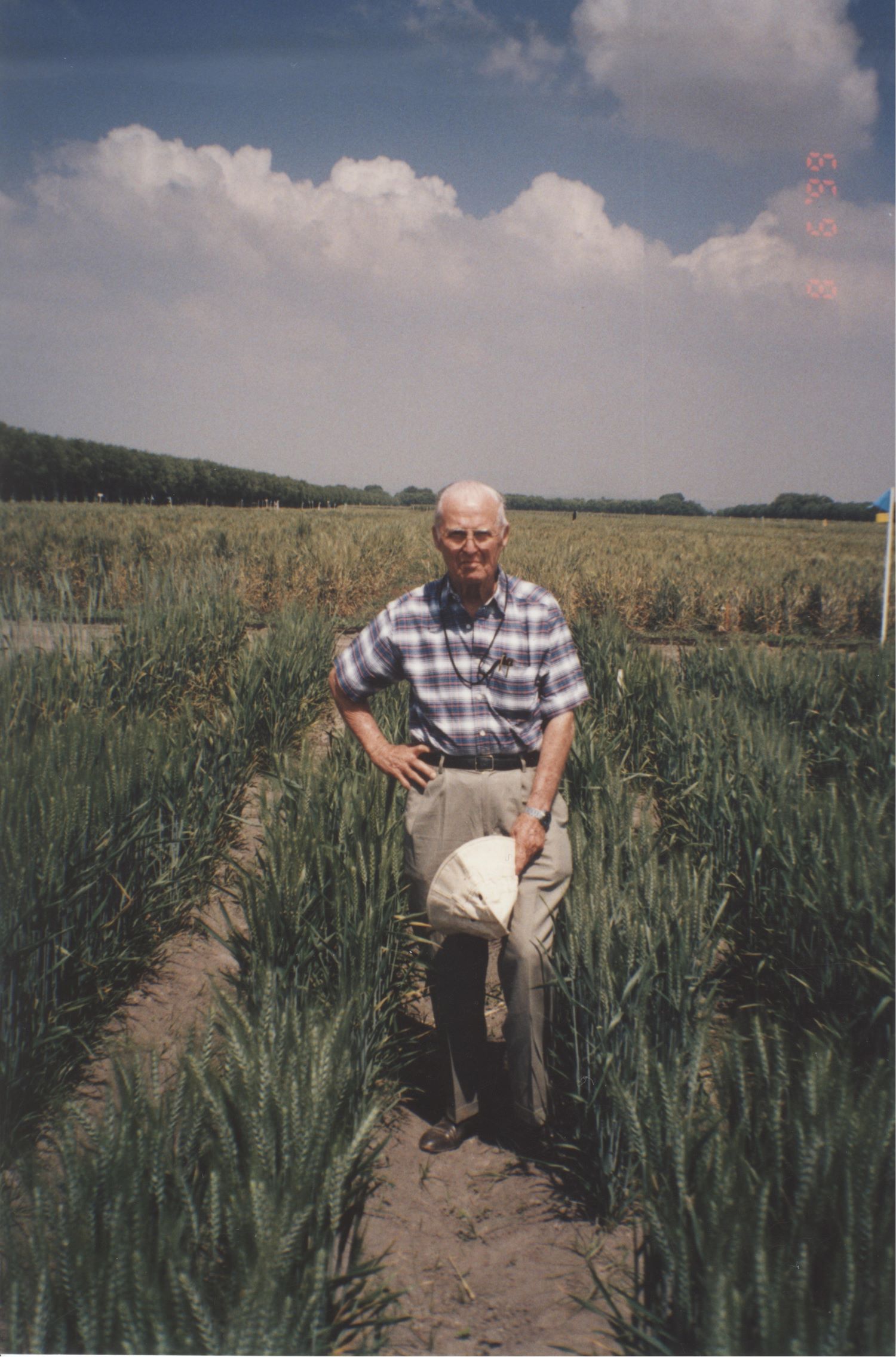CIMMYT Scientist and Nobel Peace Prize Laureate Norman Borlaug in the field at Toluca station. (Photo: Fernando Delgado/CIMMYT)