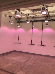 Speed breeding room at Toluca station. The Heliospectra lights support the faster growth of plants. (Photo: Suchismita Mondal/CIMMYT)