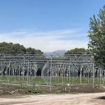 Recent progress of the rapid generation advancement facility under construction at Toluca station. (Photo: Suchismita Modal/CIMMYT)