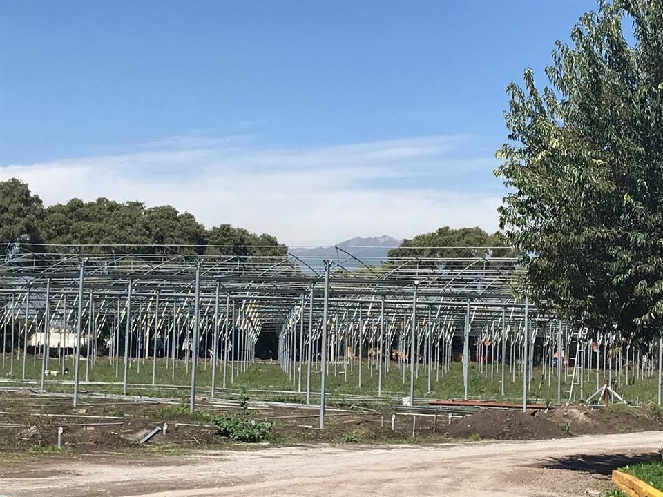 Recent progress of the rapid generation advancement facility under construction at Toluca station. (Photo: Suchismita Modal/CIMMYT)