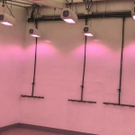 Speed breeding room at Toluca station. The Heliospectra lights support the faster growth of plants. (Photo: Suchismita Mondal/CIMMYT)