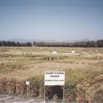 Early photo of Toluca station. (Photo: Fernando Delgado/CIMMYT)