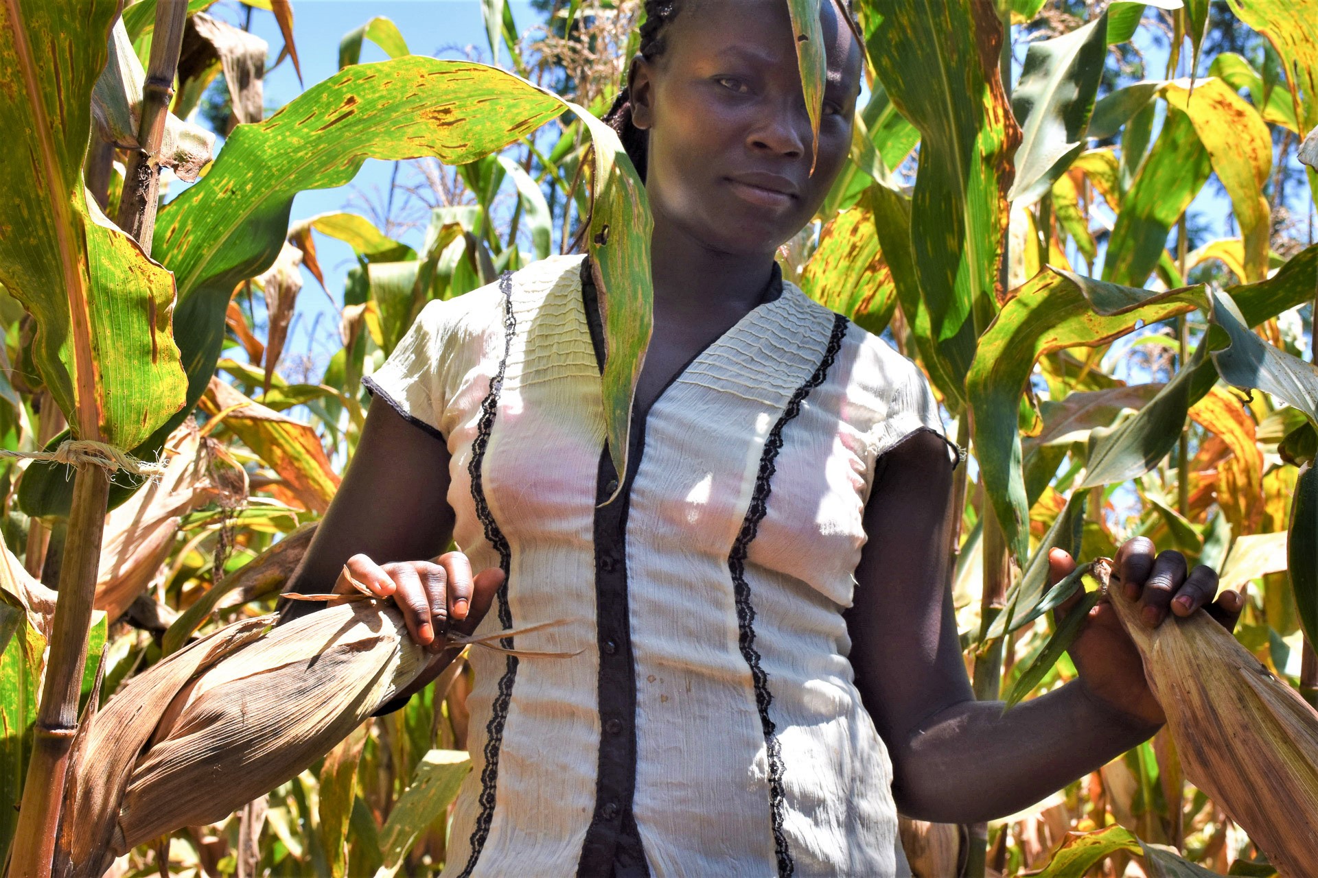 In Embu County, Kenya, 25-year-old Jackline Wanja stands in a demonstration plot of high-yielding, drought-resilient and fast-maturing maize varieties. (Photo: Joshua Masinde/CIMMYT)
