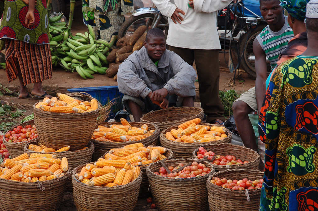 Maize and other food crops on sale at Ijaye market, Oyo State, Nigeria. (Photo: Adebayo O./IITA)