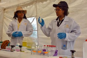 Anne Wangui, Maize Seed Health Technician, demonstrates how to test maize plants for maize dwarf mosaic virus (MDMV). (Photo: Joshua 