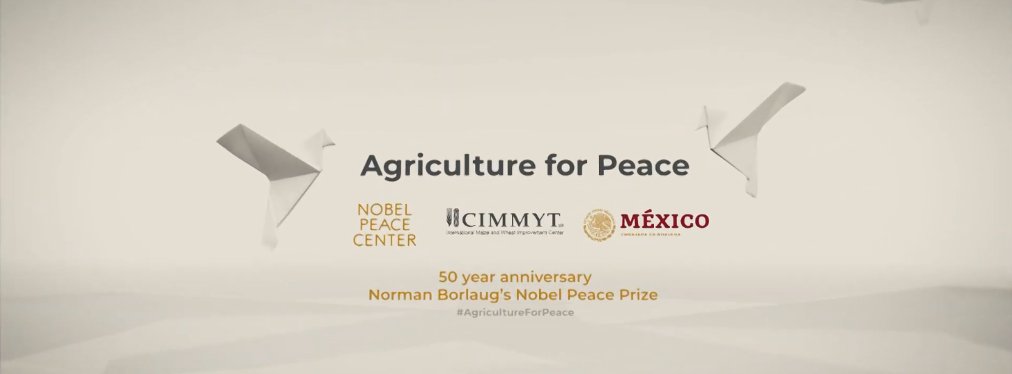 Background image for CIMMYT