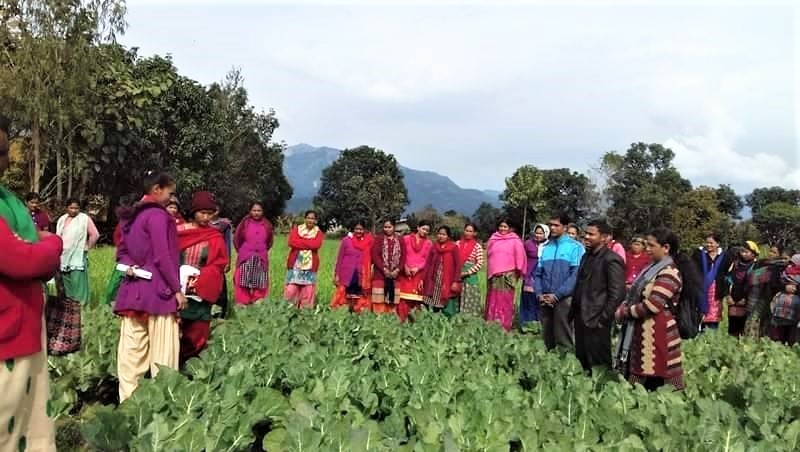 Women in field.