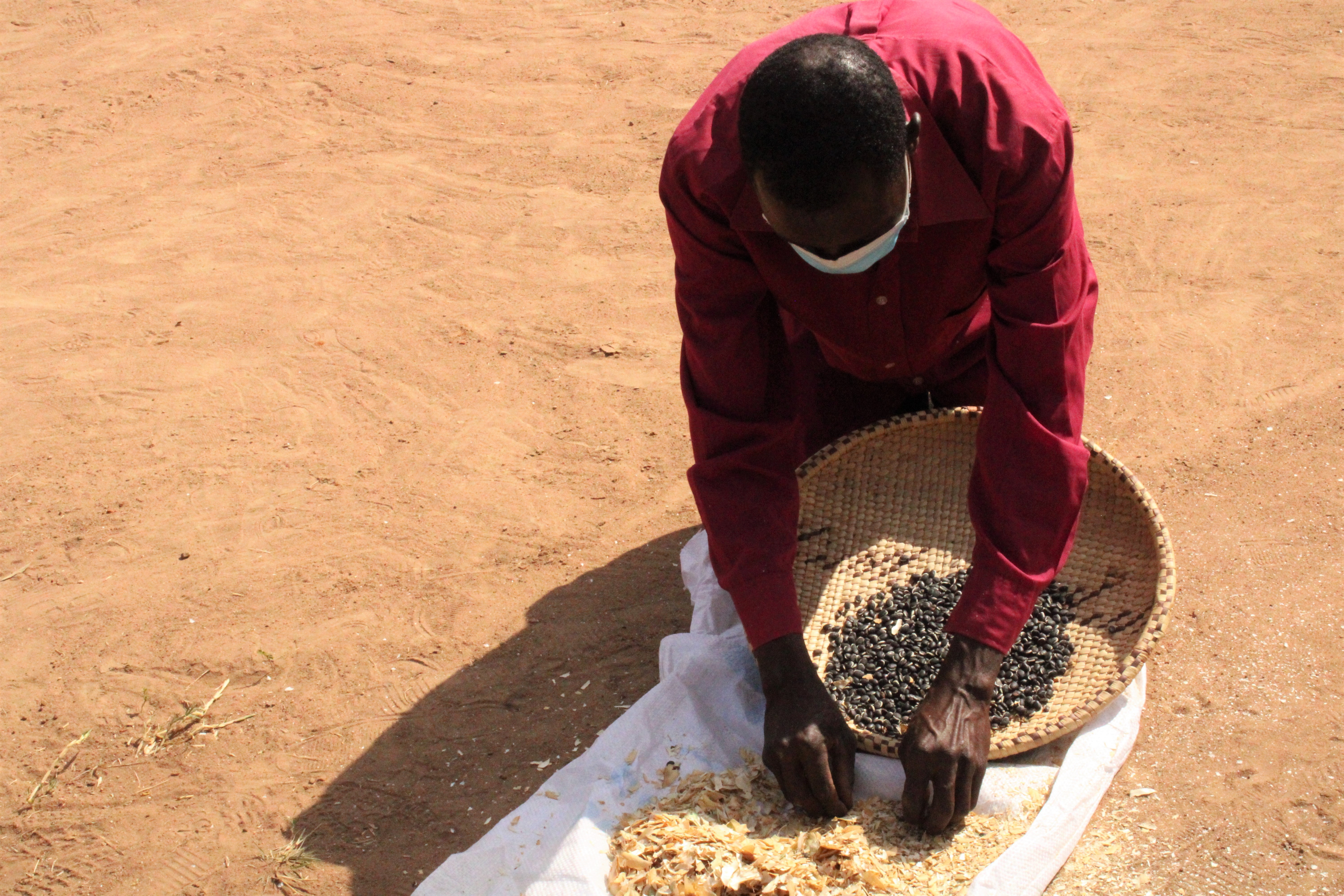 Farmers participating in mother trials learn climate-smart agriculture principles and conservation agriculture technologies.