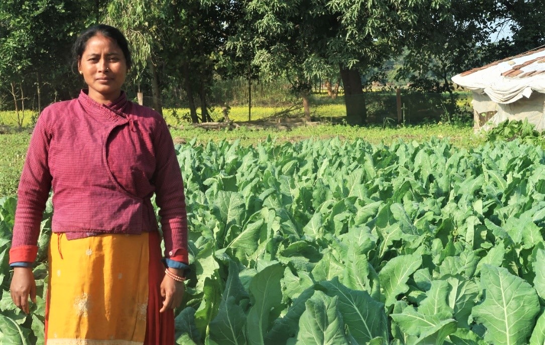 Farmer in field.