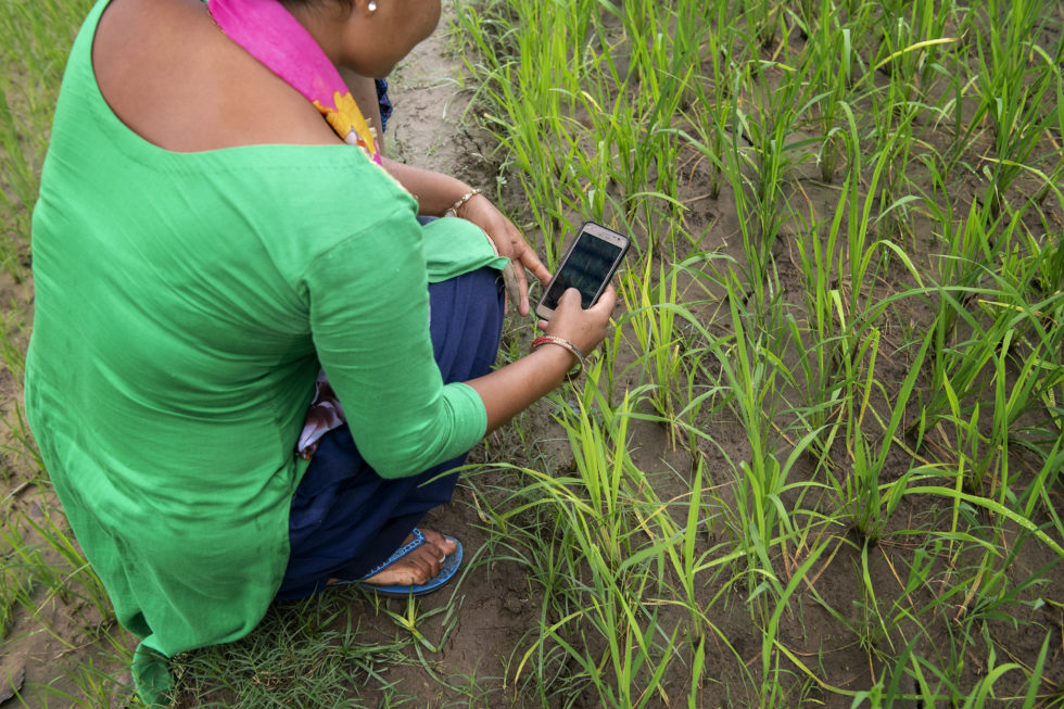 Farmer uses mobile phone in field.