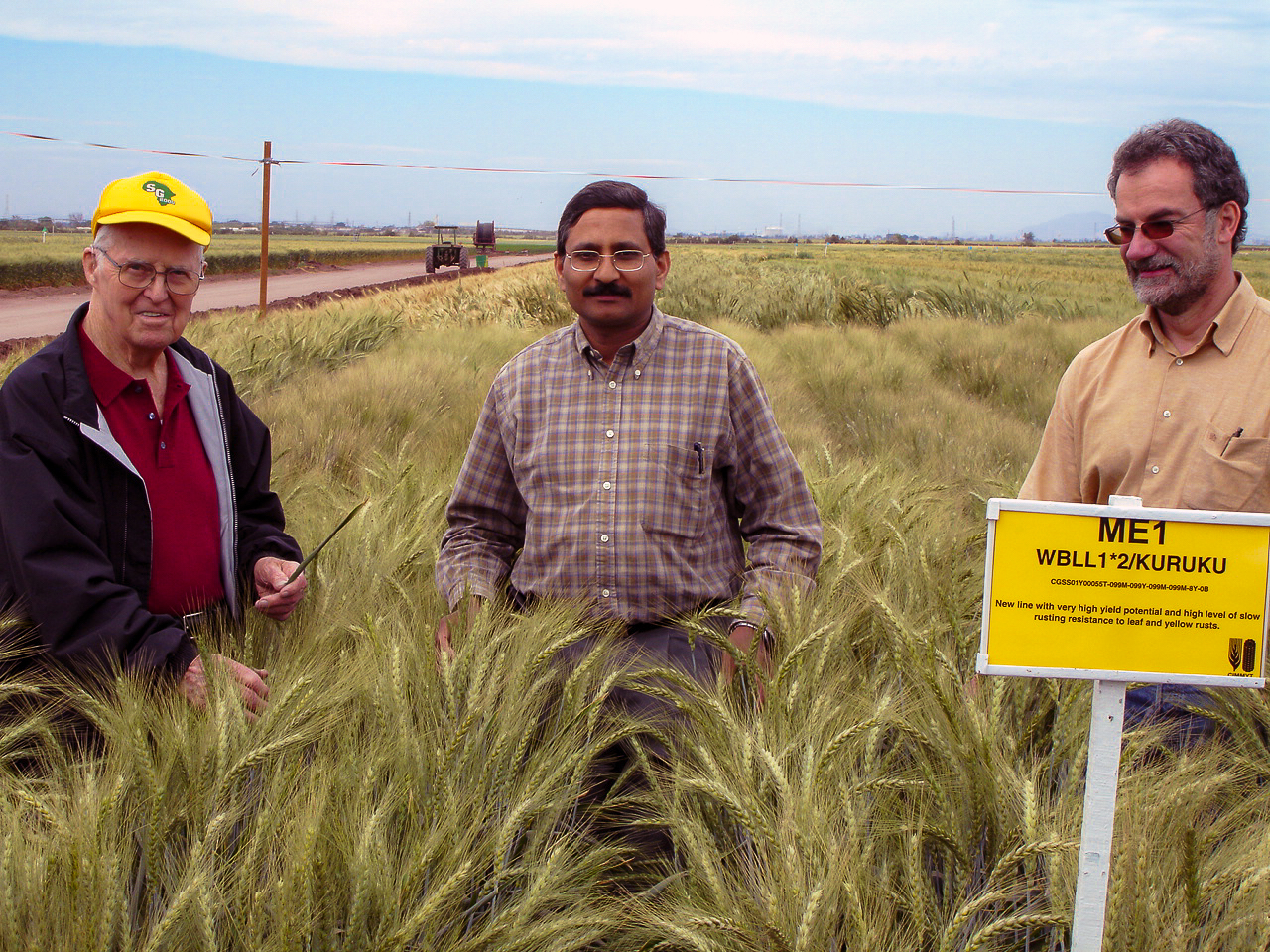 Ravi Singh (centro) con Norman Borlaug (izquierda) y Hans Braun en los campos de trigo de la estación experimental del CIMMYT en Ciudad Obregón en Sonora, México. (Foto: CIMMYT)