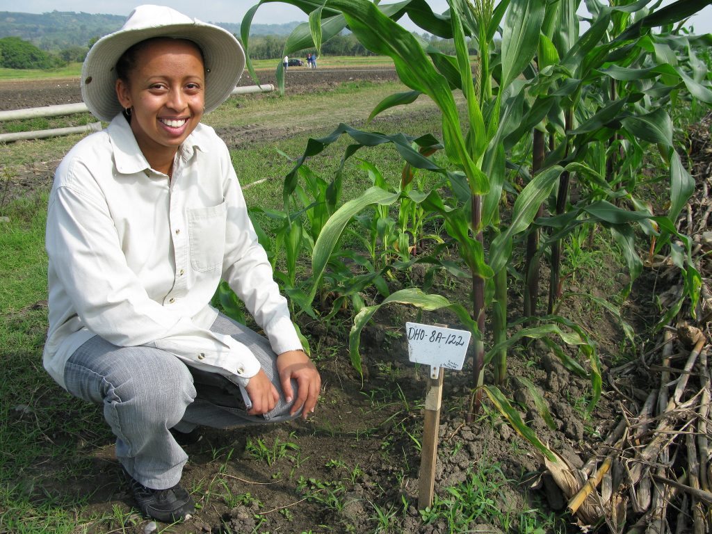 Aida Zewdu Kebede, a PhD student at the University of Hohenheim, sits next to an experimental plot for doubled haploid maize in Agua Fría, Mexico. (Photo: Thomas Lumpkin/CIMMYT)