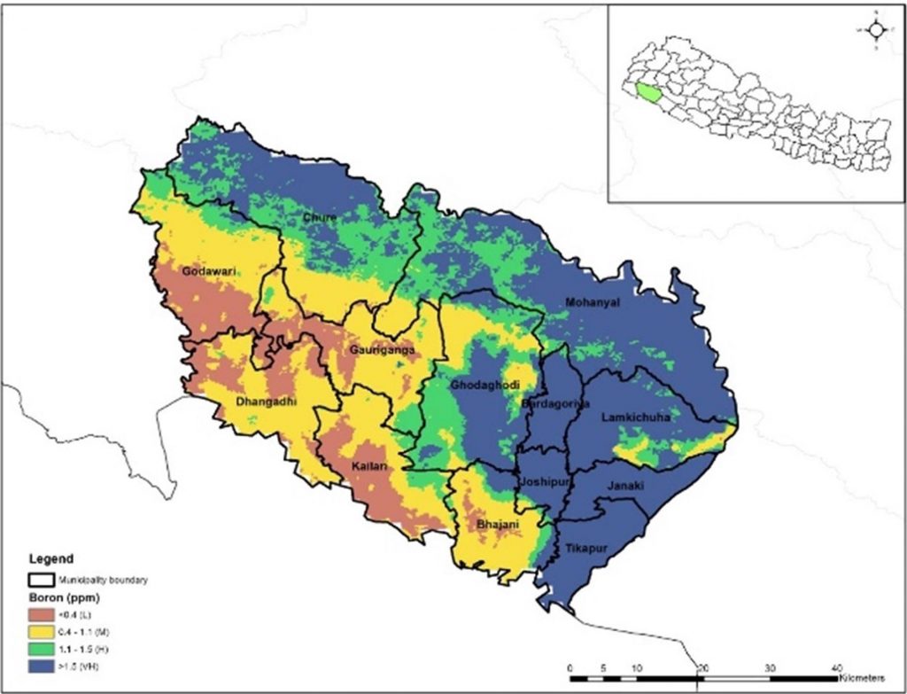 A digital soil map developed by the NSAF project shows medium to high boron deficiency in Kailali district and the surrounding area. (Map: CIMMYT) 