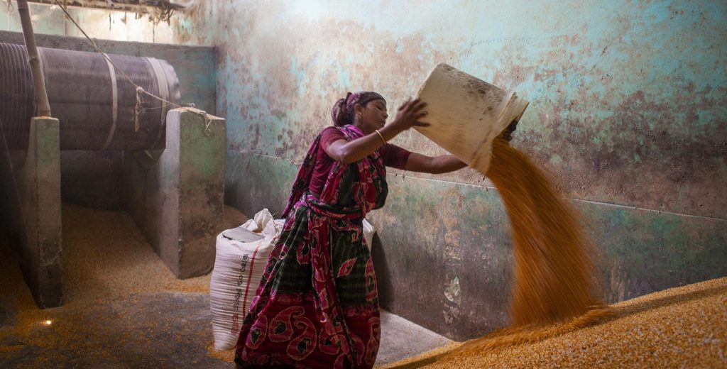 A farmer takes maize grain to a local reserve in Bangladesh. (Photo: Fahad Kaizer/FAO)