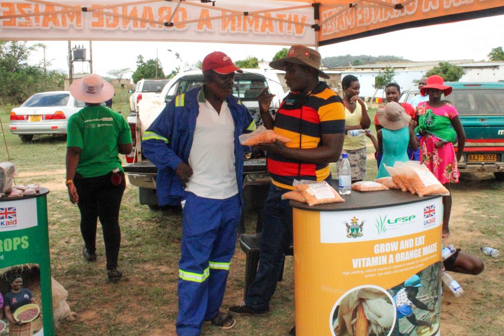 A seed company representative outlines the benefits of an orange maize variety at a seed fair in Masvingo, Zimbabwe. (Photo: S.Chikulo/CIMMYT)