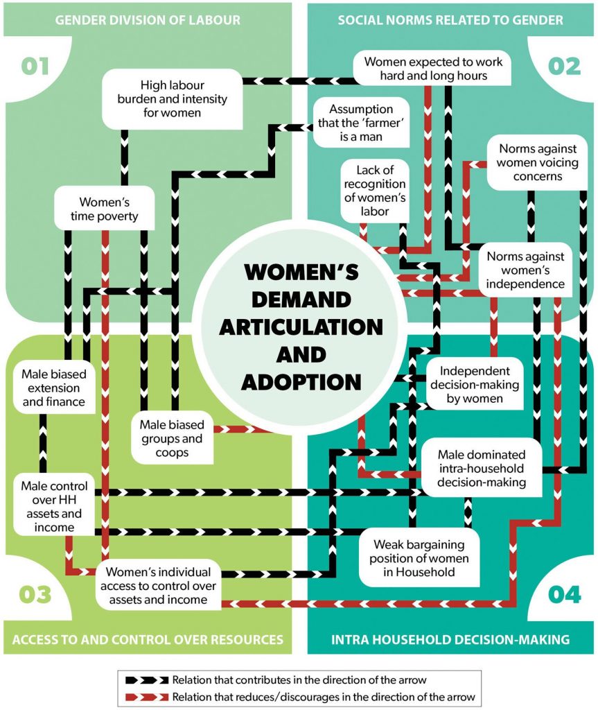 A diagram outlines the links between different factors influencing gender dynamics in demand articulation and adoption of laborsaving technologies. (Graphic: Nancy Valtierra/CIMMYT)
