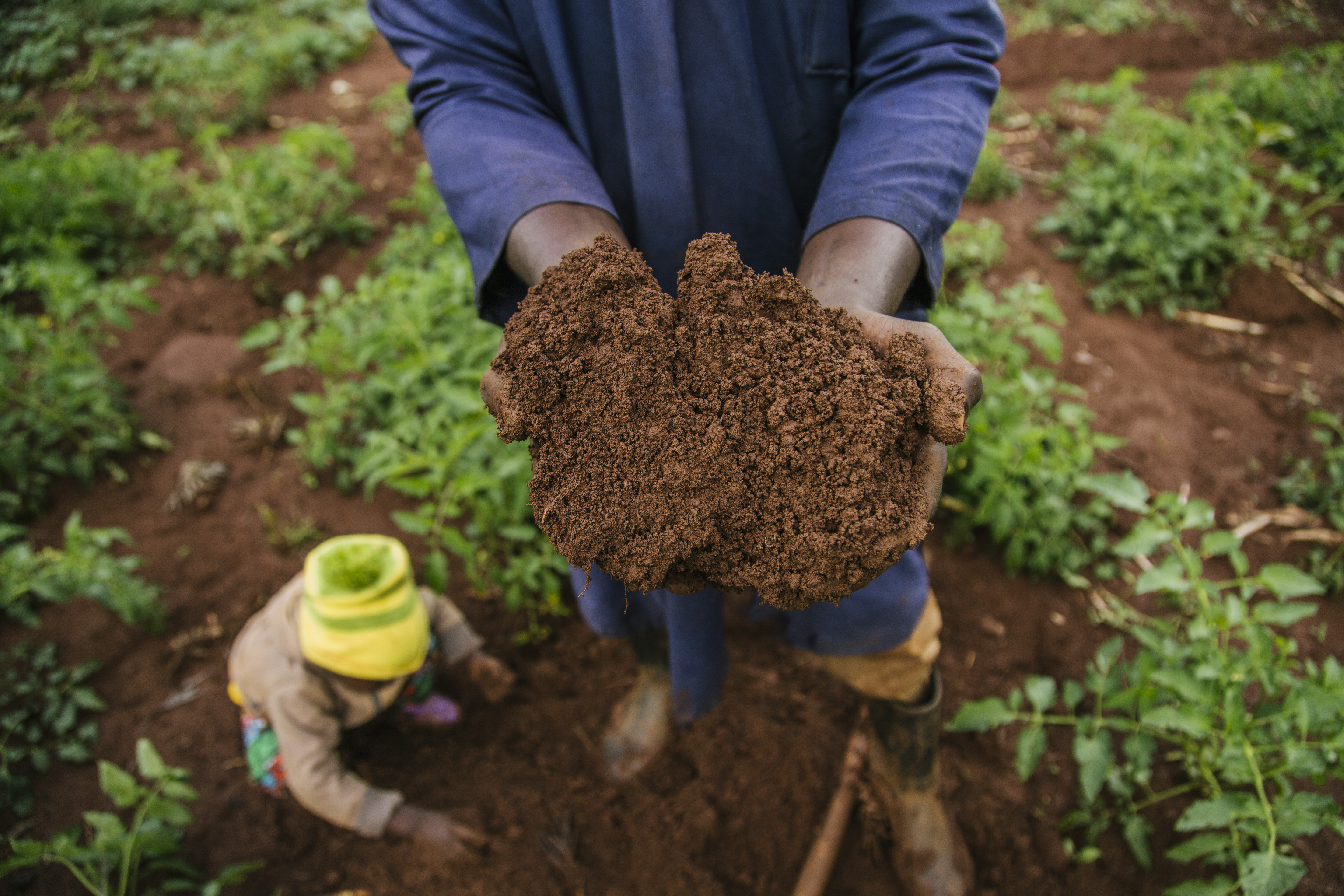 Douglas Mungai holds up soil on his farm in Murang’a county, Kenya. (Photo: Robert Neptune/TNC)