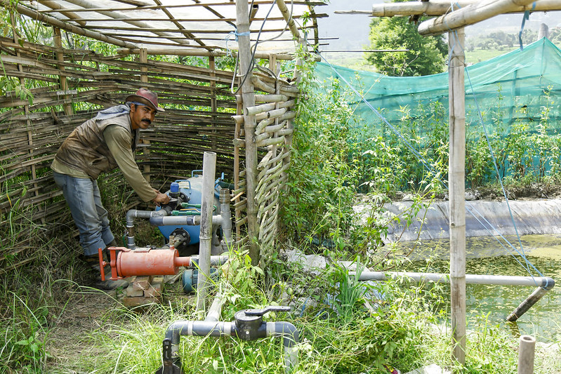 A farmer in Nepal operates a water pump for drip irrigation. (Photo: Sharad Maharjan/IMWI)