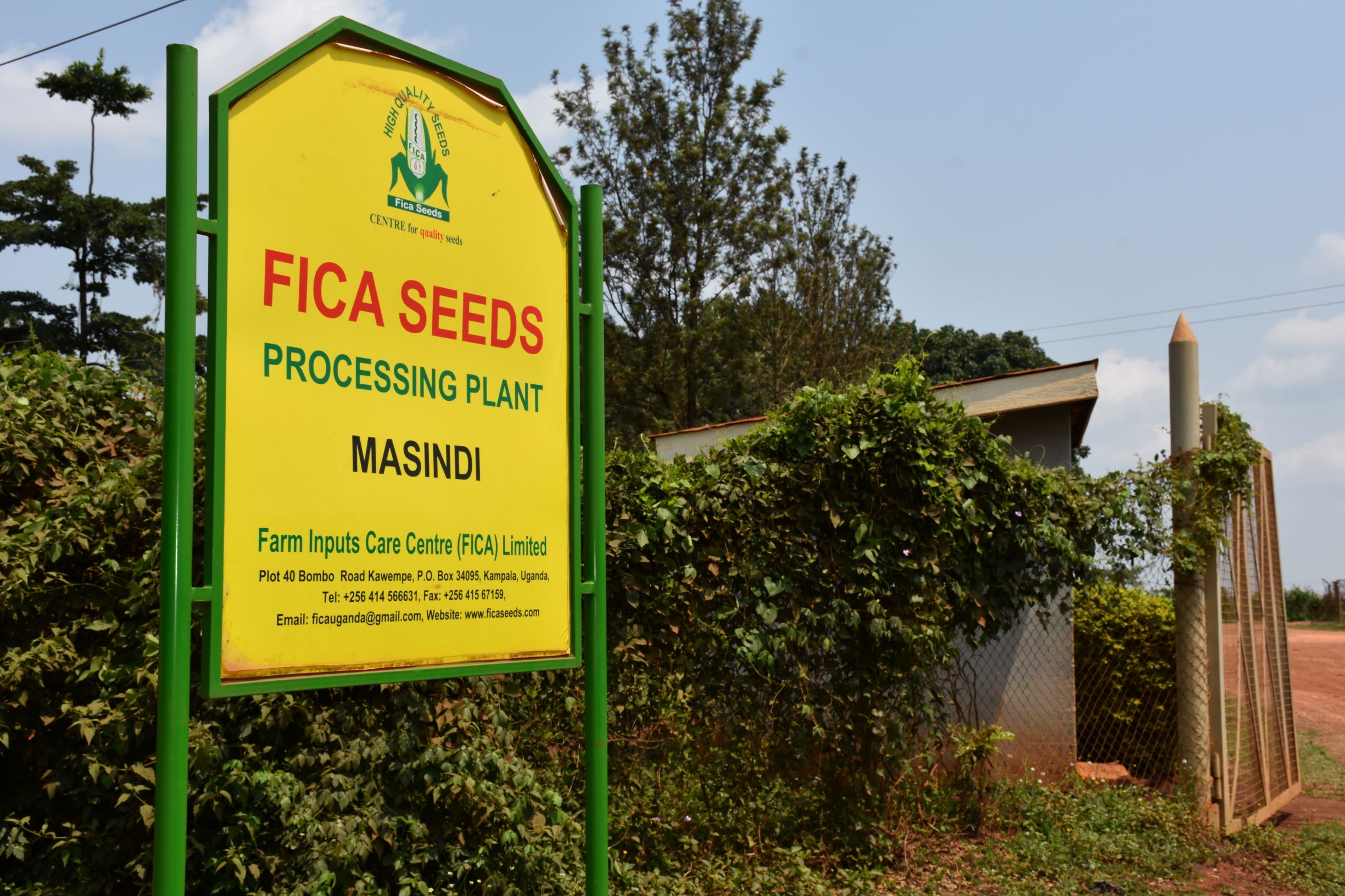 A signpost at the entrance to Farm Inputs Care Centre (FICA) in Masindi, Uganda. (Photo: Joshua Masinde/CIMMYT)