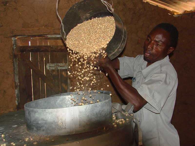 A farmer from Embu, Kenya, demonstrates how to load maize grain into a metal silo for storage. (Photo: CIMMYT)