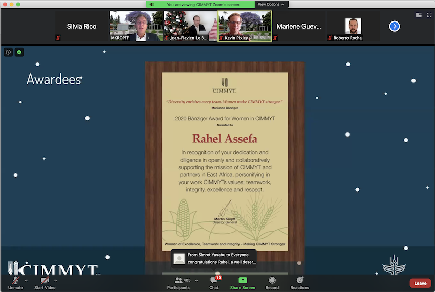 Rahel Assefa receives her certificate during the virtual award ceremony. (Photo: CIMMYT)