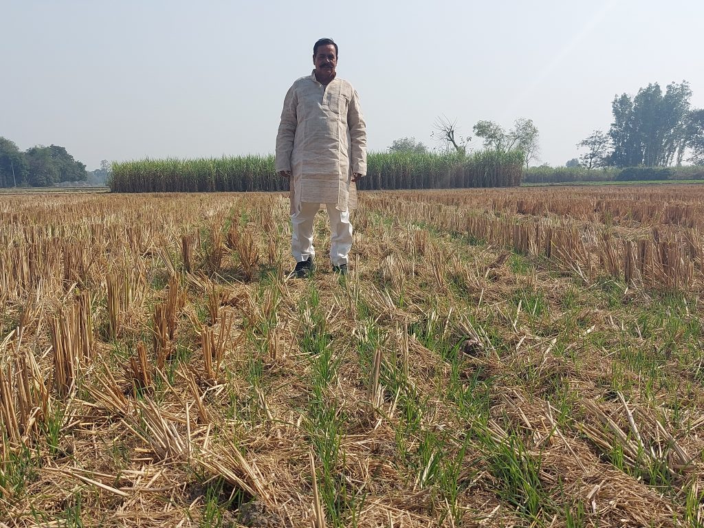 Surender Prasad stands in his field, where wheat grows under rice-crop residue. (Photo: Nima Chodon/CIMMYT)