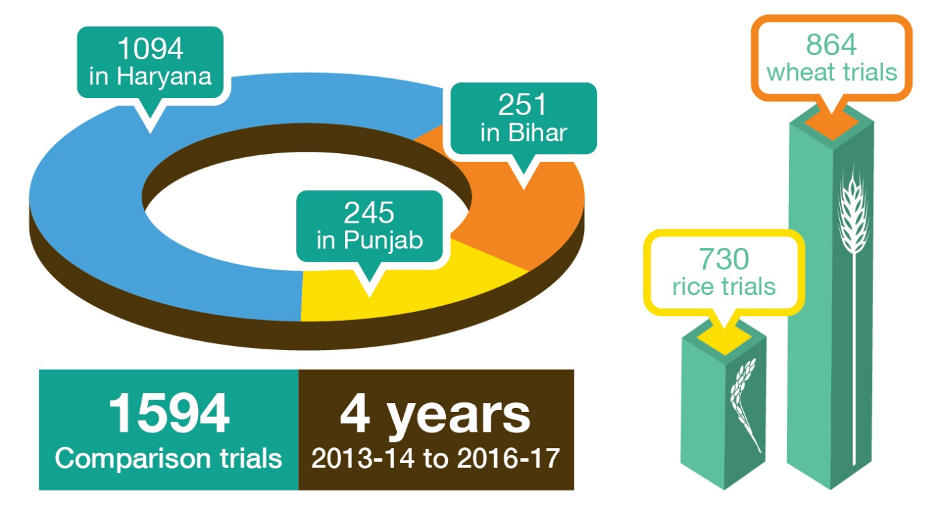 Researchers tested the Nutrient Expert decision tool against typical farmer fertilization practices extensively using approximately 1600 side-by side comparison trials in rice and wheat fields across the Indo-Gangetic Plains of India (Graphic: CIMMYT).