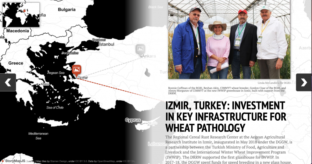 The new interactive map allows visitors to visually explore the milestones that allowed a global network of researchers to fight threats to wheat production. 