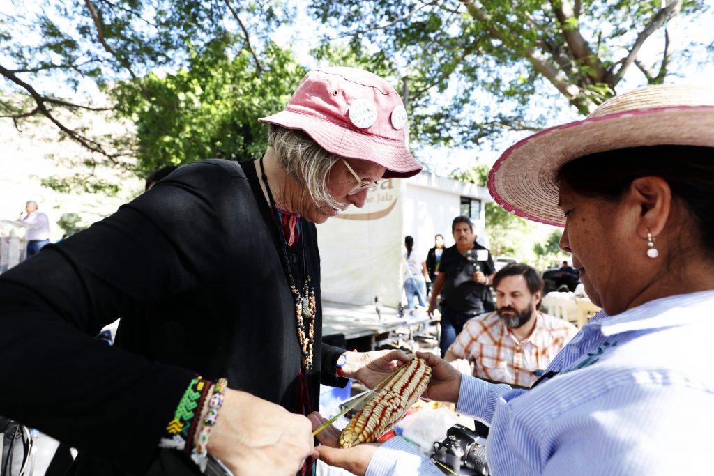 Costich (left) measures ears of corn for the Second Harvest Fair and Largest Mature Ear of Jala Maize Contest in Coapa, in Mexico’s Nayarit state in 2019.