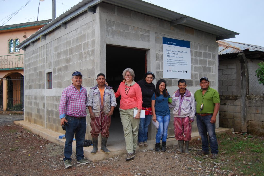 Visiting a newly-built community seed reserve in Chanchimil, Todos Santos Cuchumatanes, Huehuetenango, Guatemala, in 2016. From left to right: Mario Fuentes (collaborator), a member of the community seed reserve staff, Denise Costich, Carolina Camacho (CIMMYT), Miriam Yaneth Ramos (Buena Milpa) and Esvin López (local collaborator).