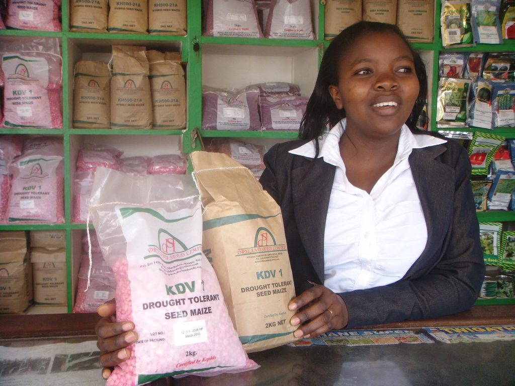 A shop attendant displays drought-tolerant maize seed at the Dryland Seed Company shop in Machakos, Kenya. (Photo: Florence Sipalla/CIMMYT)